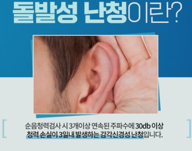  어질어질 돌발성 난청