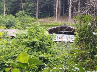 보양 밥상