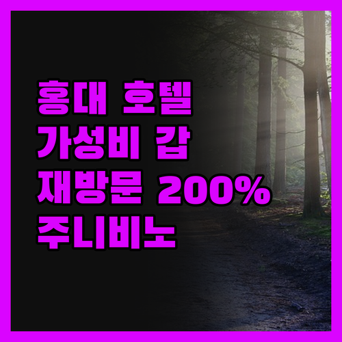 주니비노 호텔 홍대 숙박 후기! 가성