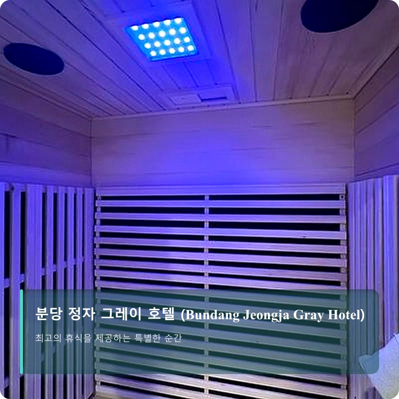 분당 정자 그레이 호텔 (Bundang Jeongja Gray Hotel)_5
