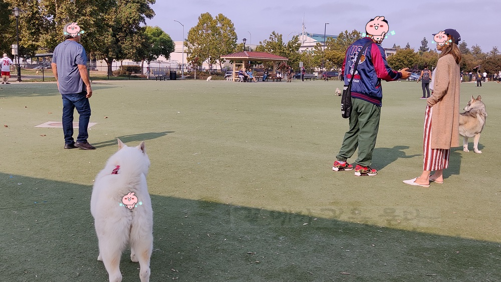 Fremont Dog Park&#44;CA