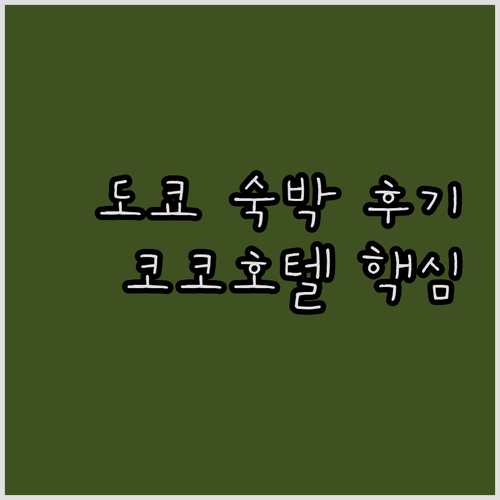 도쿄 숙박 코코 호텔 긴자 1초메 장