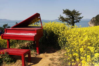 여수 하화도 출렁다리