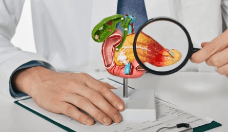 췌장을 위치와 역할을 설명하는 의사 이미지