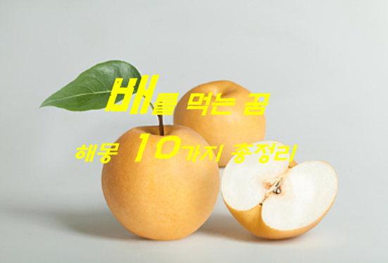  배꿈 해몽 10가지 총정리