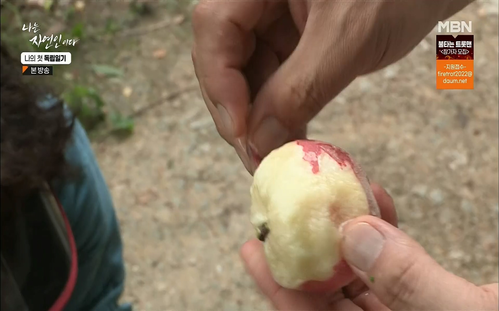 나는 자연인이다.E511.220720p.H264-F1RST.mp4_20220721_201101.054.jpg