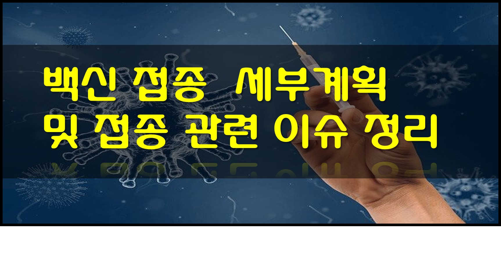  백신 접종  세부계획 - 접종 후 궁금한 이슈 정리