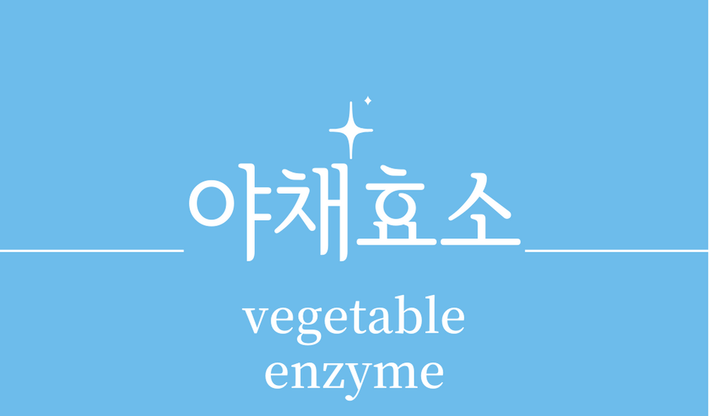 &#39;야채효소(vegetable enzyme)&#39;