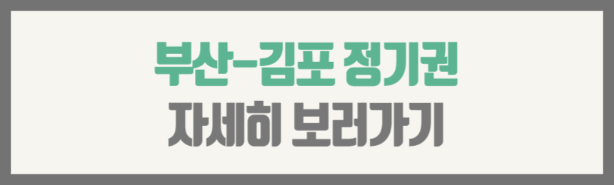 부산-김포 정기권