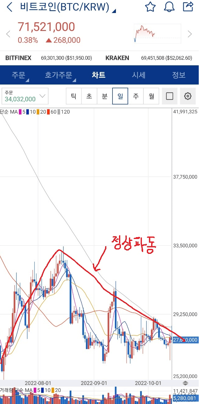 비트코인-정상-파동-모습