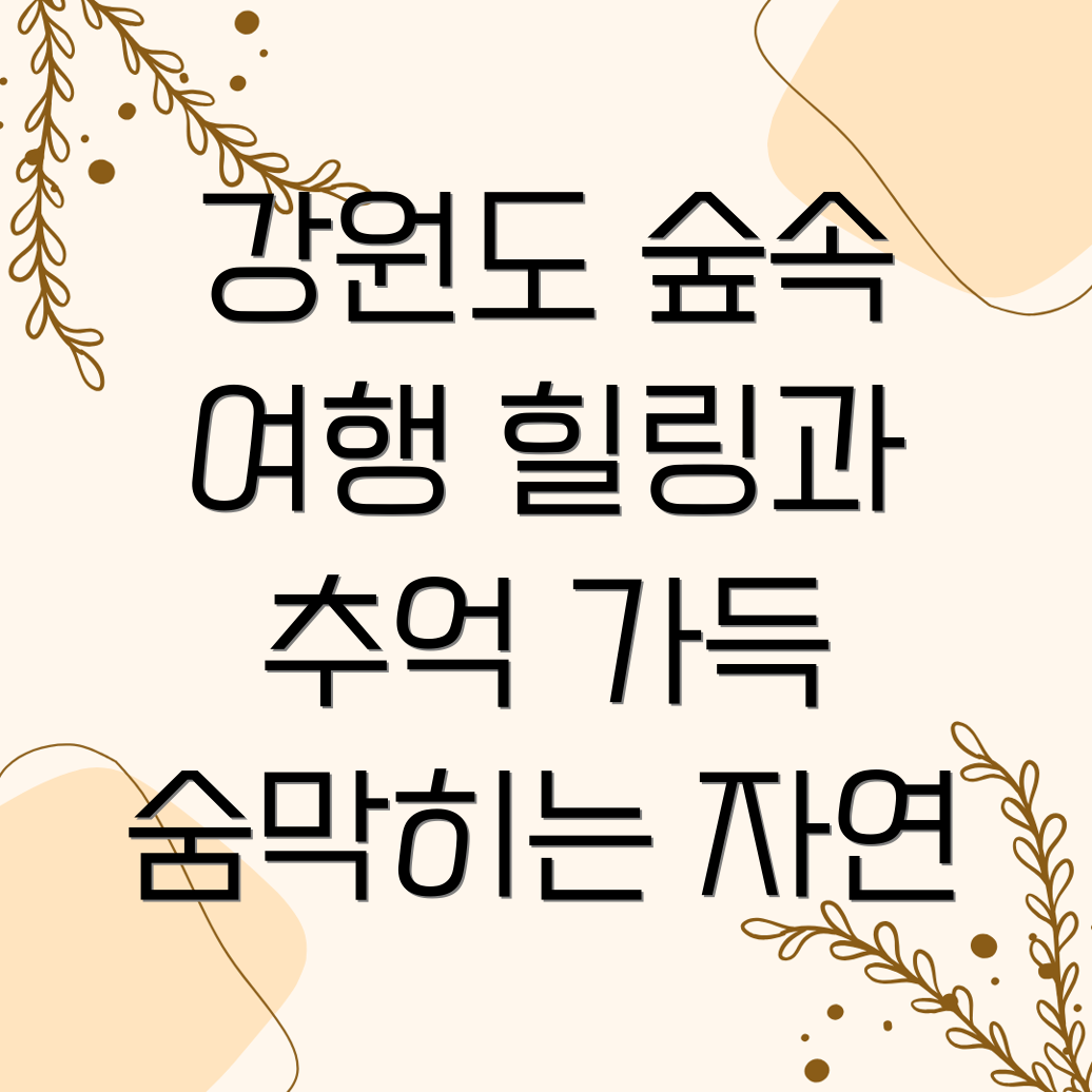 강원도 숲 힐링 여행