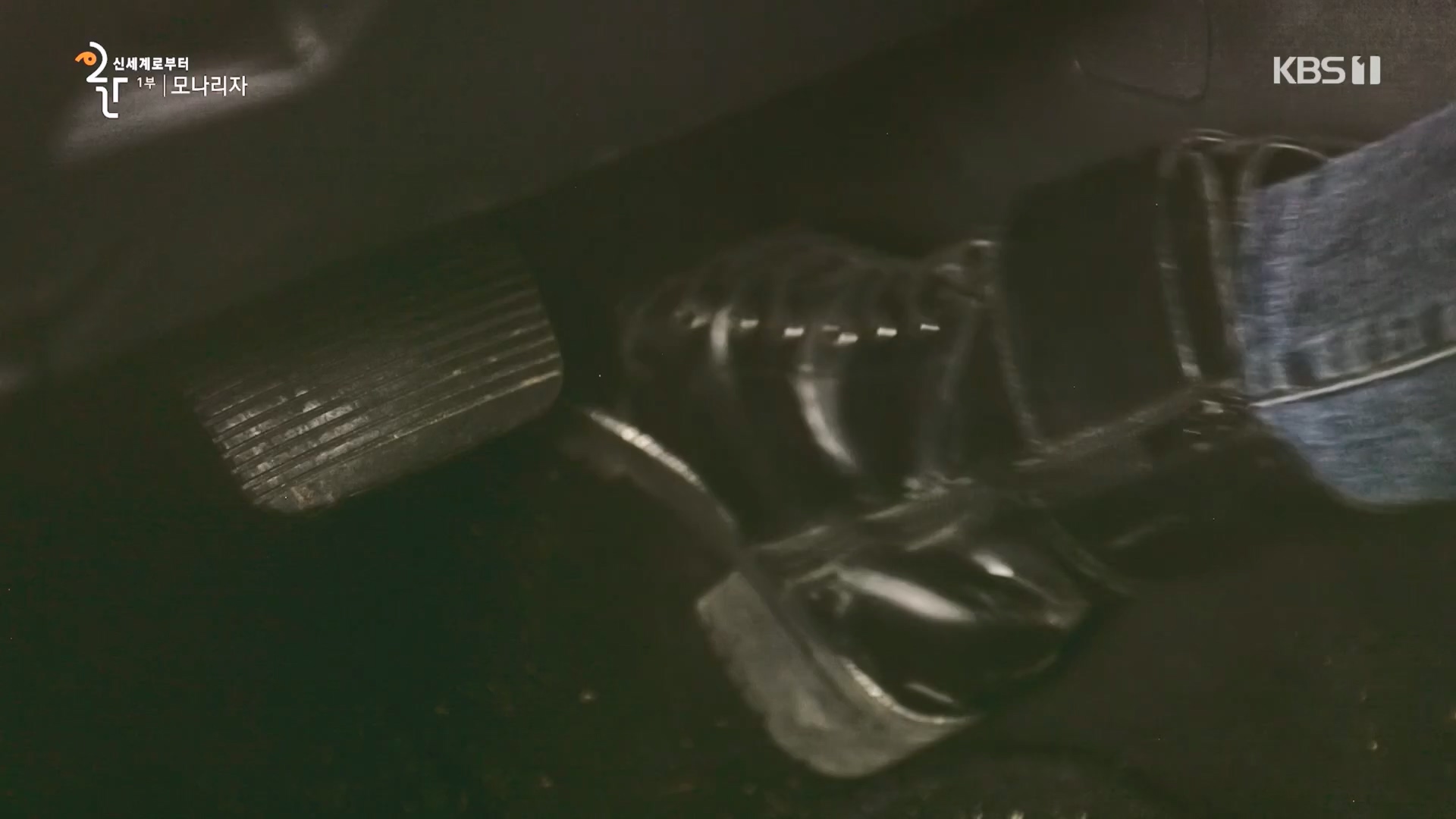 다큐 인사이트.E170.231109p.H264-F1RST.mp4_20231110_210615.639.jpg