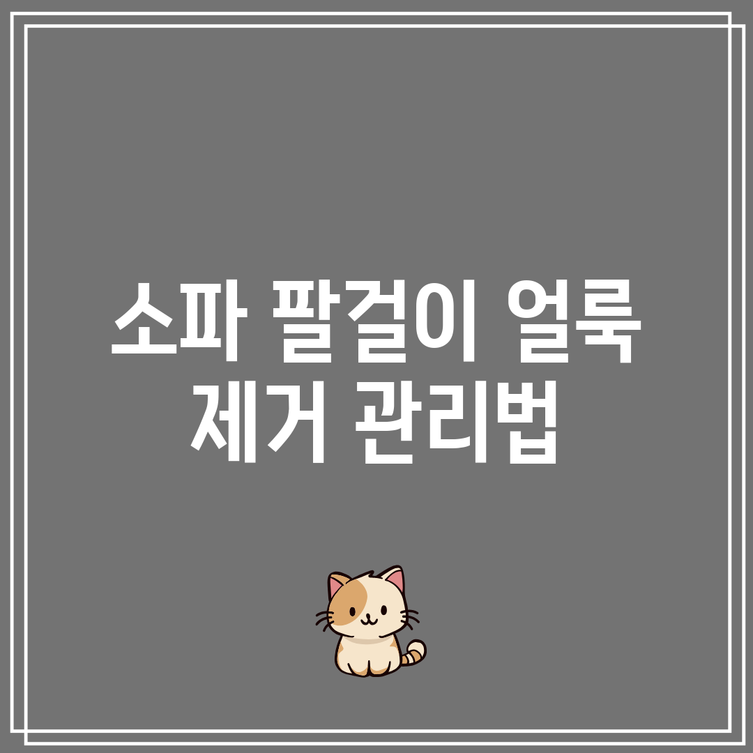 소파 팔걸이 얼룩 제거 관리법