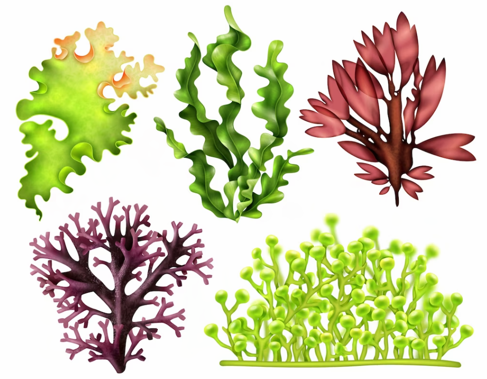 임신 7개월 대처법 3