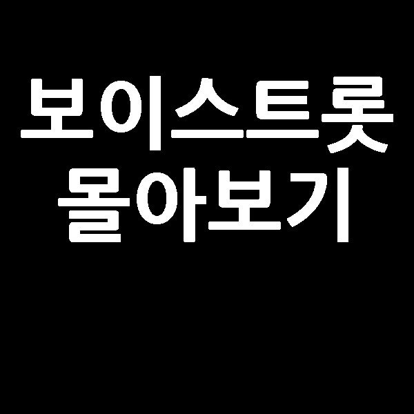  보이스 트롯 우승자 순위