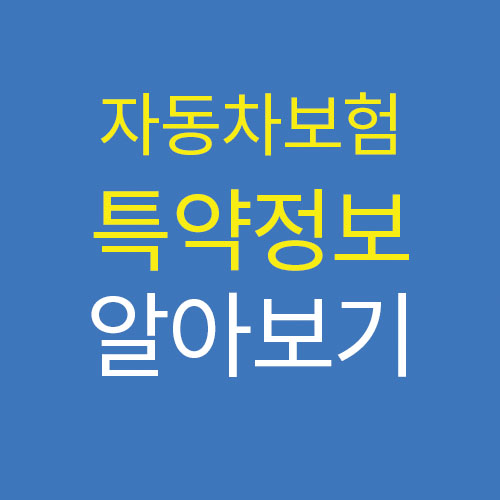  자동차 보험 선택 시 고려해야 할 필수 특약 정보