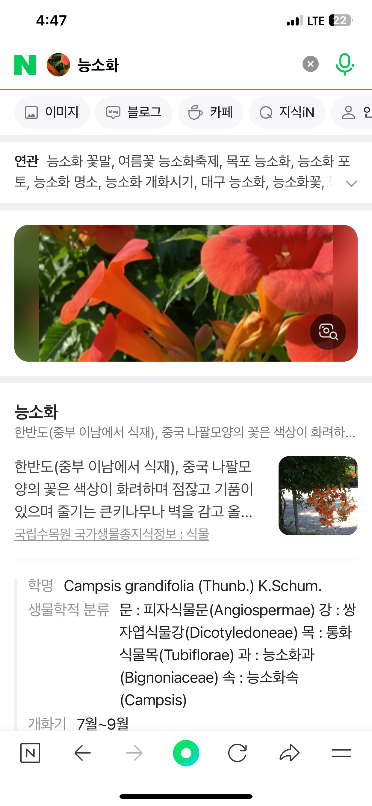 네이버 앱 이미지 검색결과 알게된 꽃이름