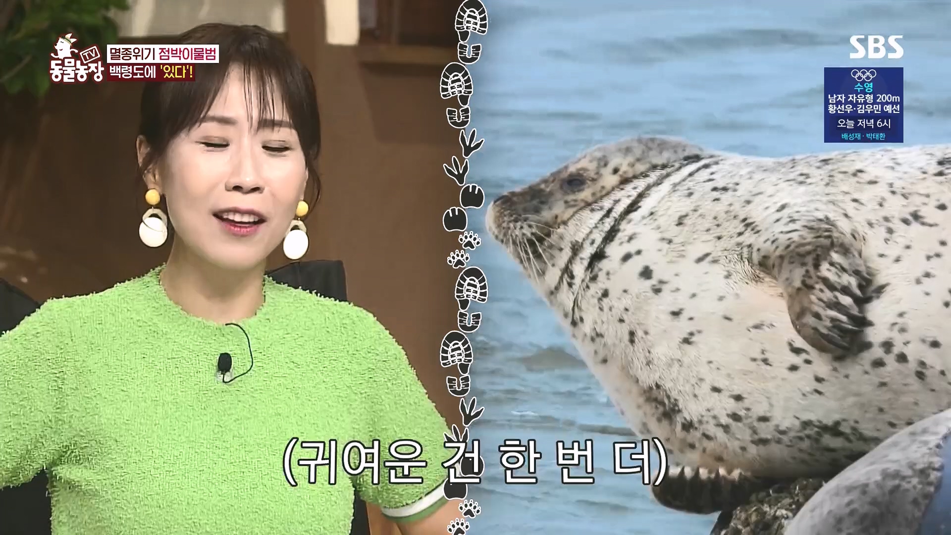 TV 동물농장.E1182.240728p.H264-F1RST.mp4_20240728_152548.514.jpg