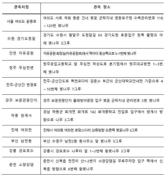 2025 벚꽃 개화시기(지역별 개화&middot;만개시기&amp;#44; 벚꽃명소&amp;#44; 벚꽃축제 추천)