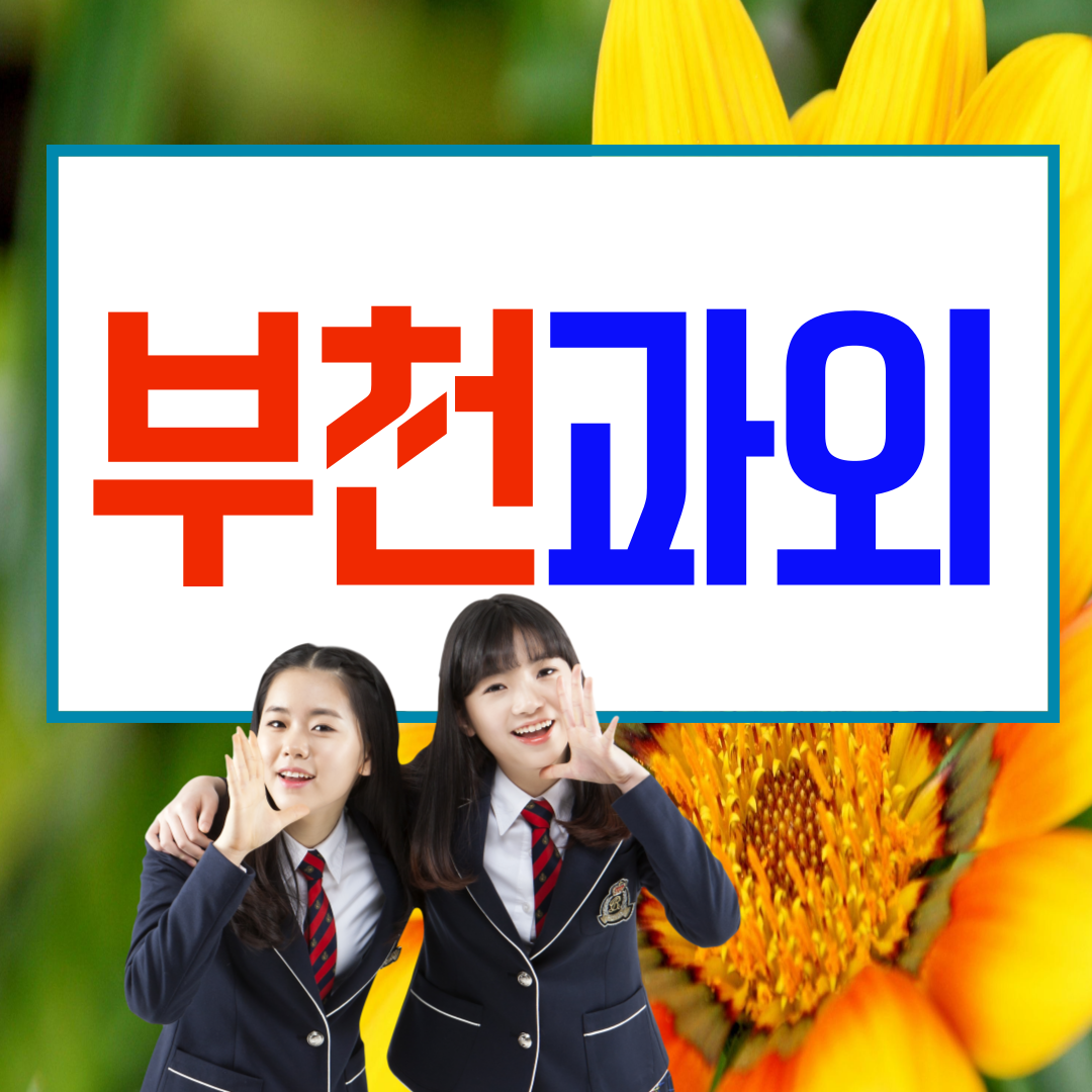  부천 범박동 중등 영어과외 약대동 고등 수학과외 물리 화학