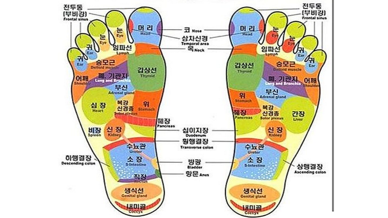  '아픈 부위별 발 마사지법' 몸이 아플때 이곳을 마사지하세요 쫙 풀립니다.