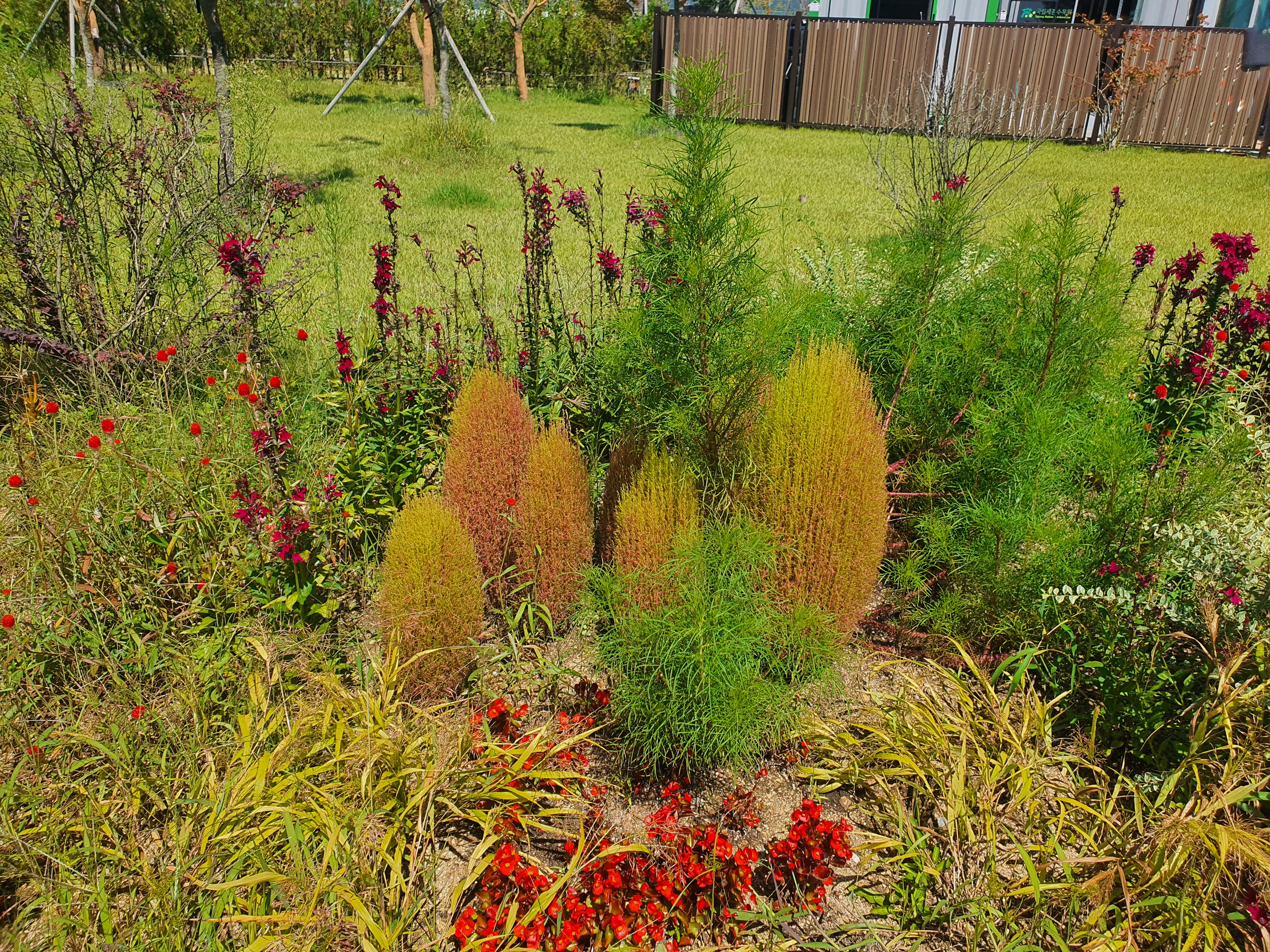 국립세종수목원 야간 개장 이용 안내 할인 혜택 세종 가볼만한 곳