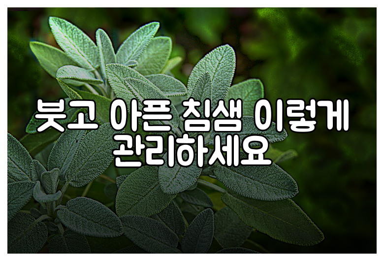 붓고 아픈 침샘 이렇게 관리하세요