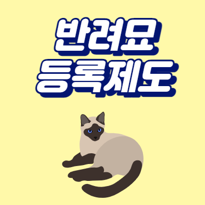  반려묘 등록 방법