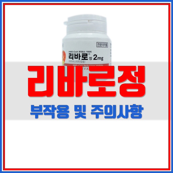  리바로정 2mg 효능 의약품 정보