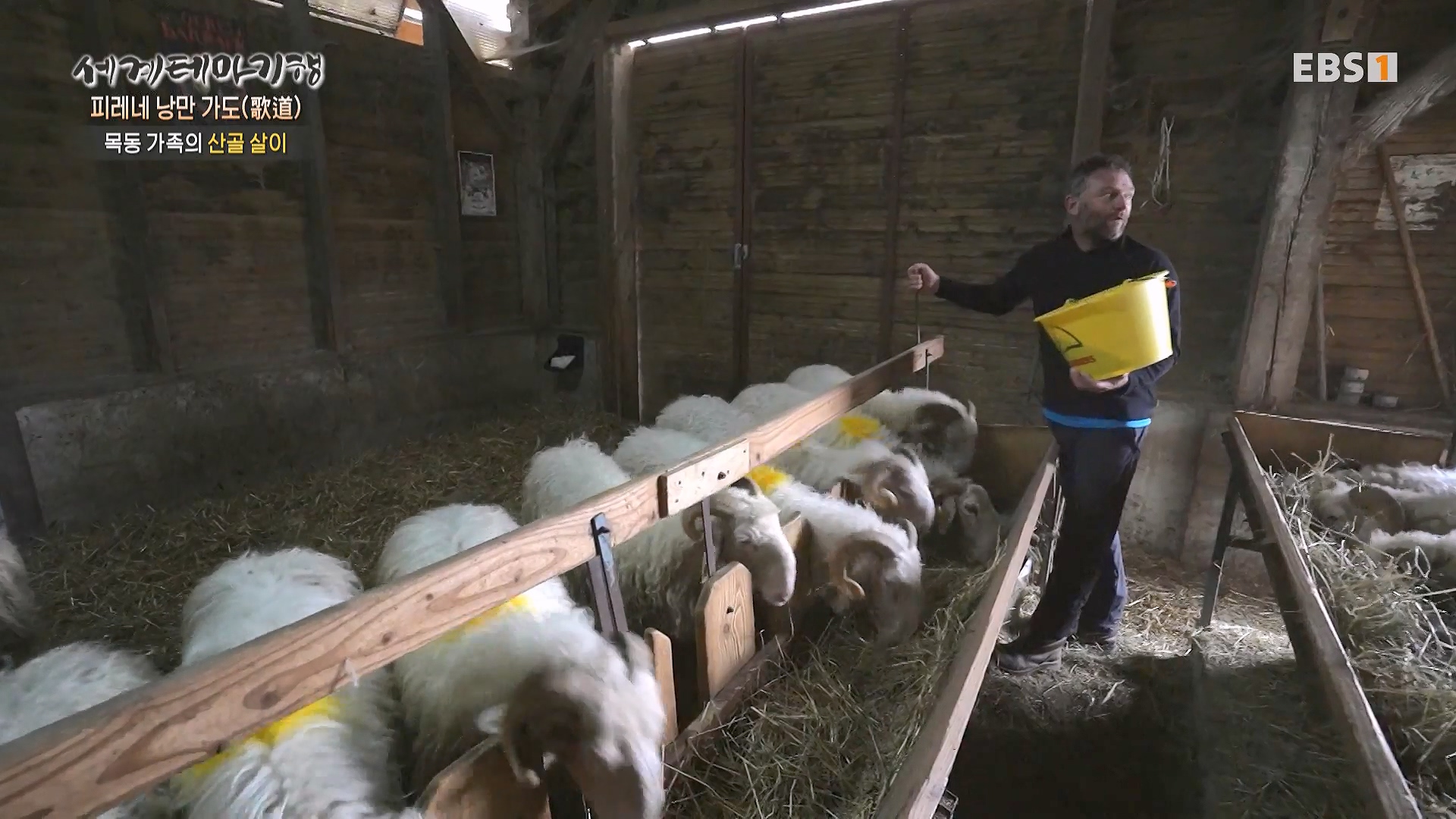 세계테마기행 231225 피레네 낭만 가도(歌道) -요정의 길을 따라, 비뉴말 트레킹0p.mp4_20240628_203924.909.jpg