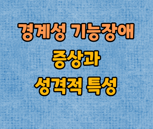 경계성 기능장애 특성