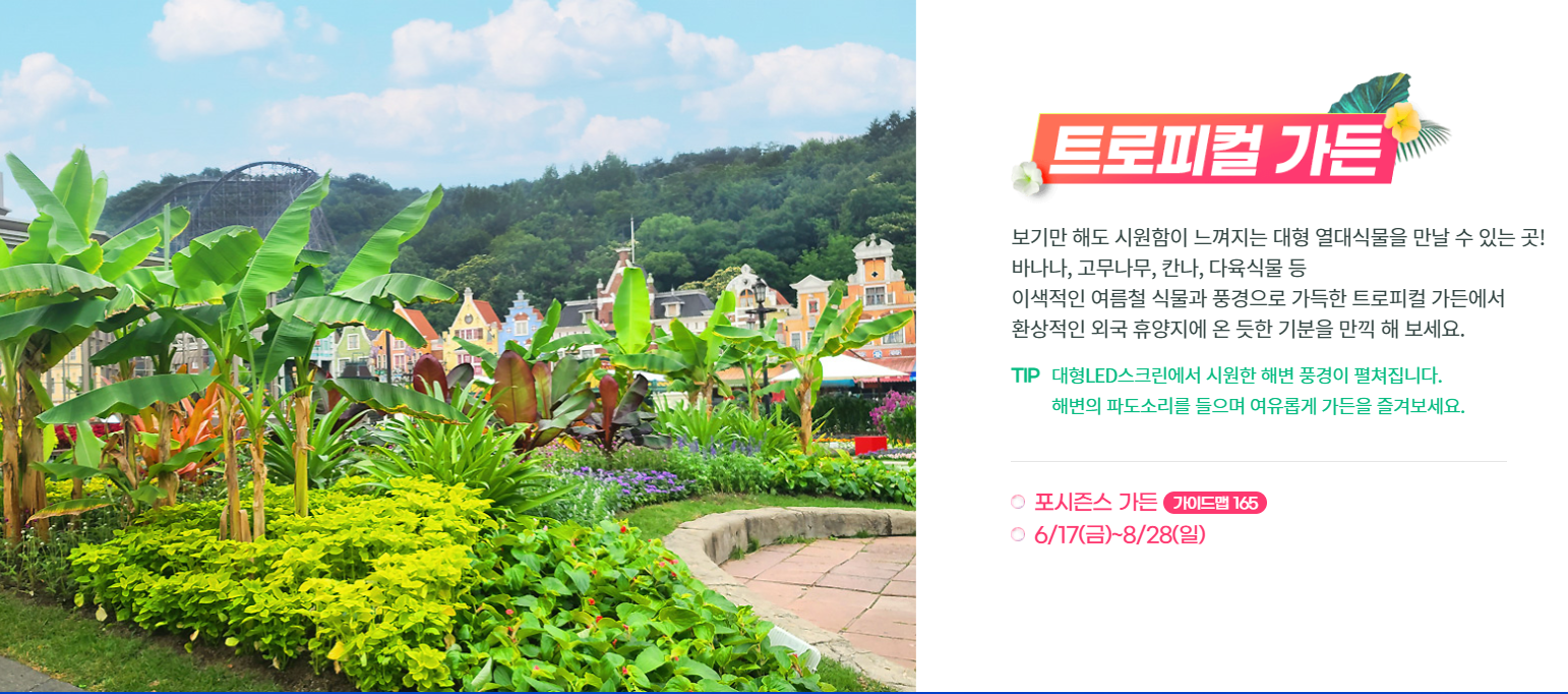 용인 에버랜드 입장료 할인