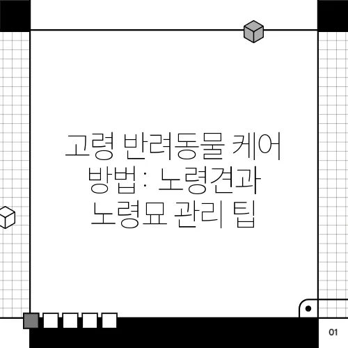 고령 반려동물 케어 방법: 노령견과 노령묘 관리 팁
