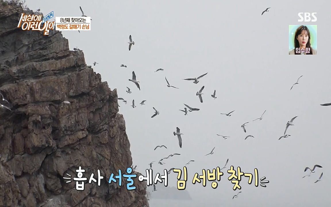 순간포착 세상에 이런일이.E1180.220518p-NEXT.mp4_20220518_181608.572.jpg