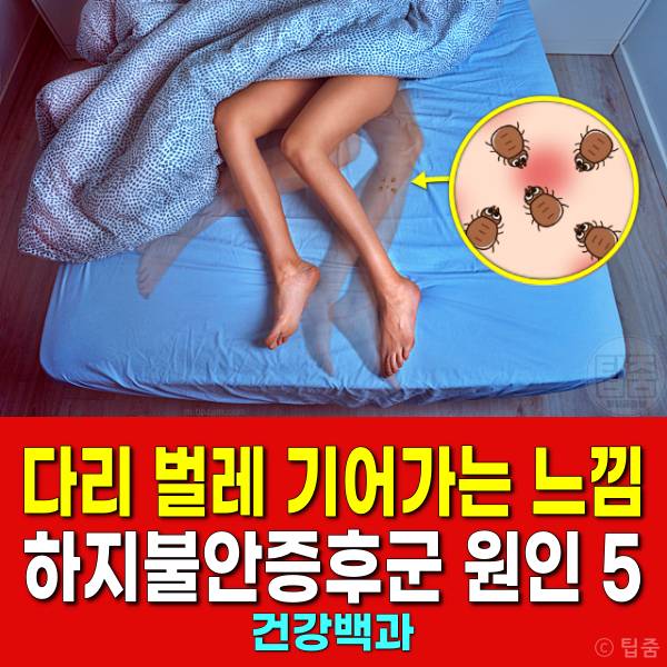 다리에 벌레 기어가는 느낌 하지불안증후군 원인