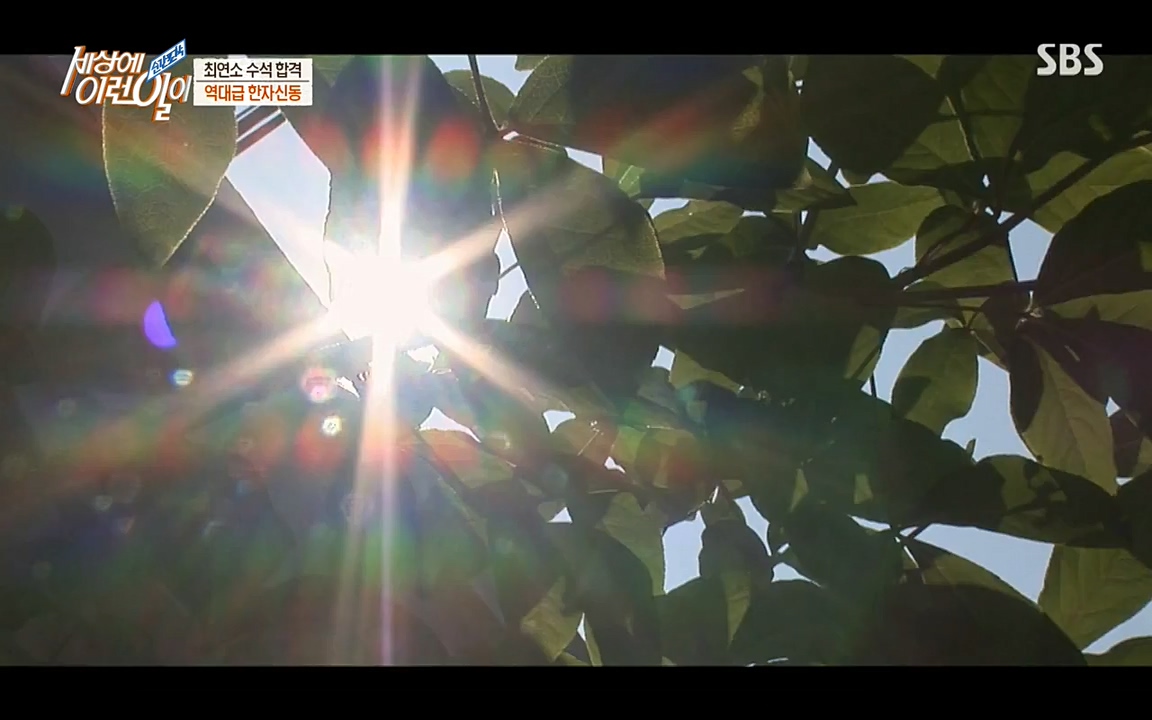 순간포착 세상에 이런일이.E1173.220330p-NEXT.mp4_20220330_174724.624.jpg