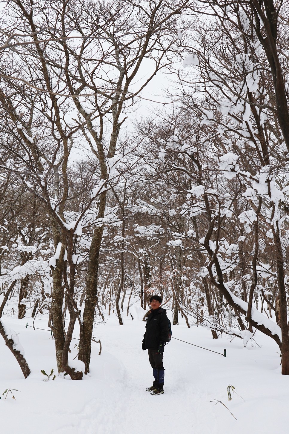 눈쌓인 겨울산 이미지 41