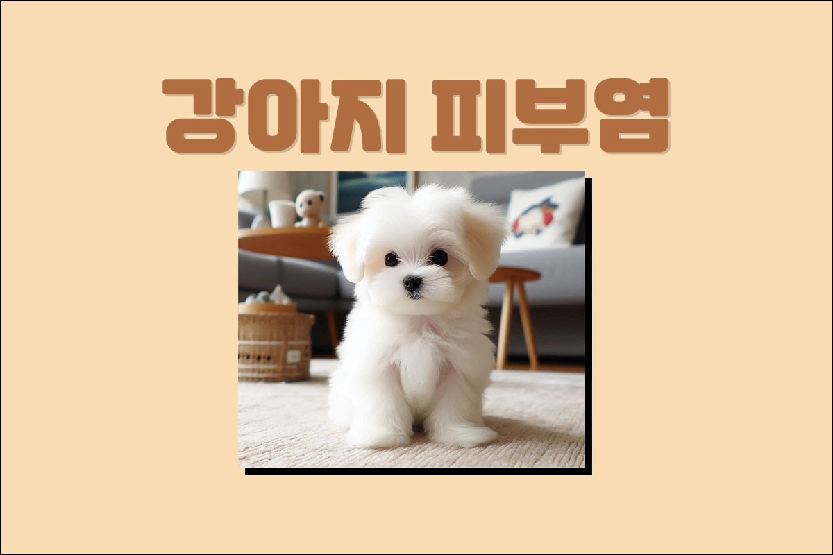 강아지 피부염