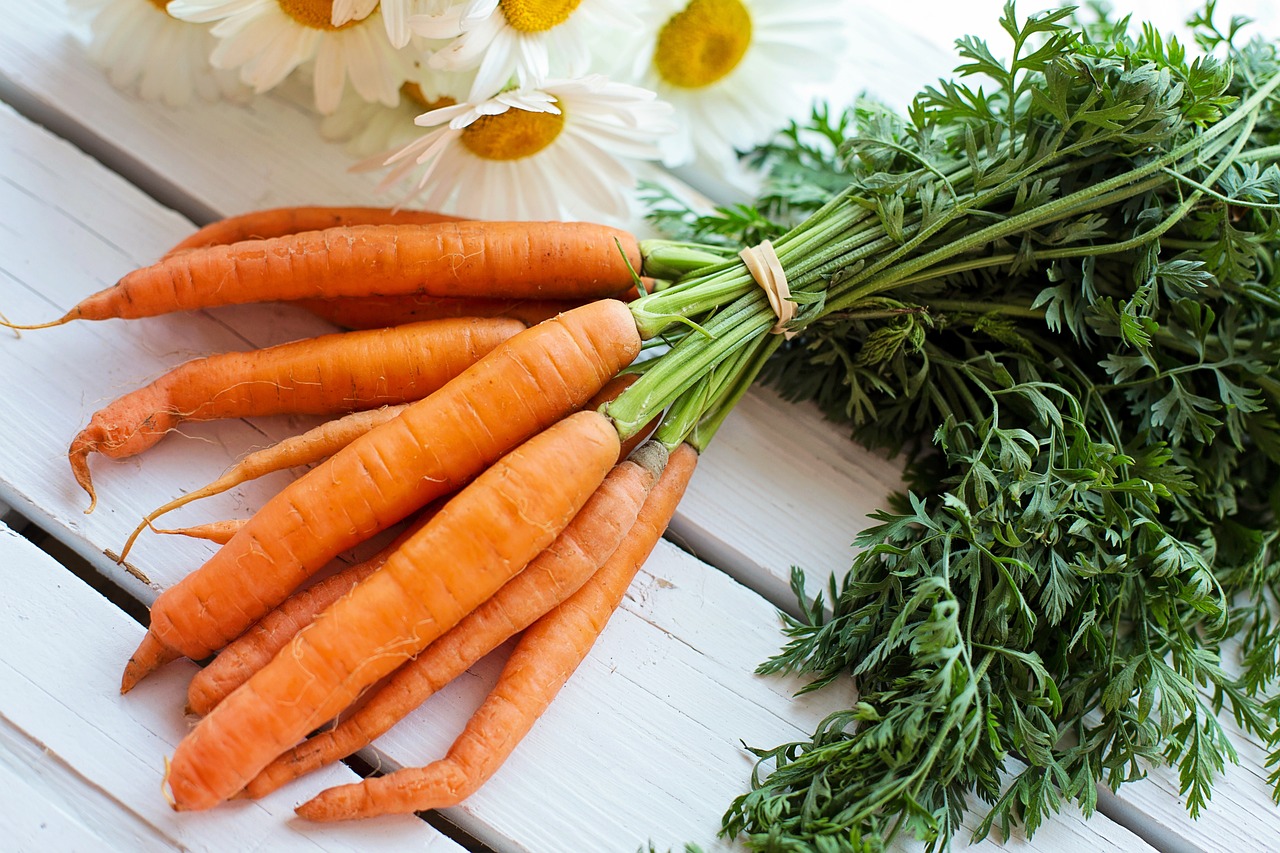 당근
carrot