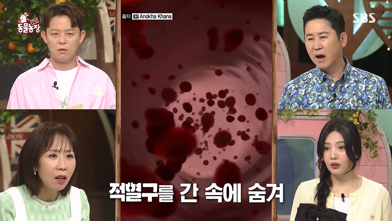 TV 동물농장.E1172.240520p-NEXT.mp4_20240519_162356.962.jpg