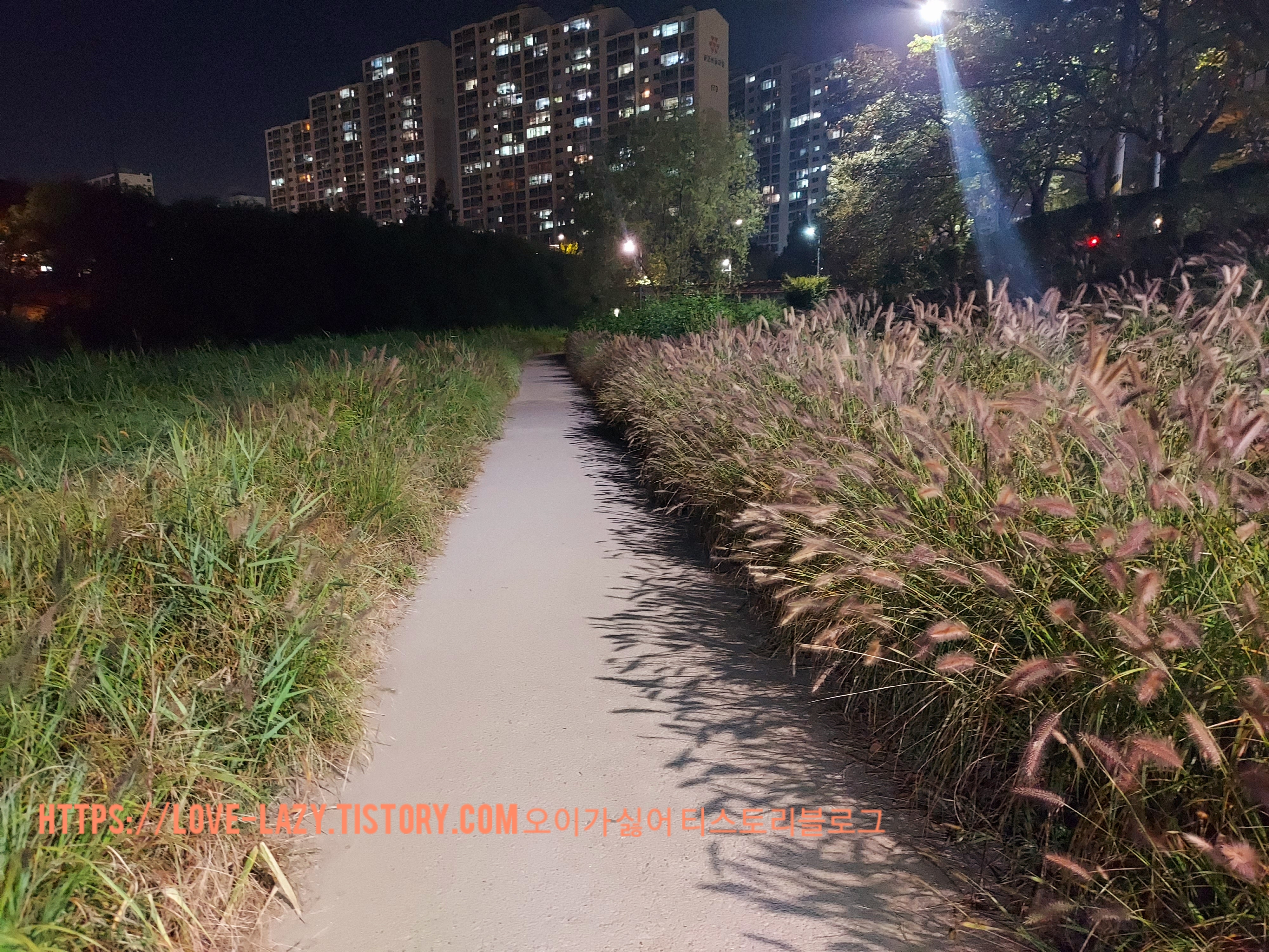  수원 자전거 코스 서호천 자전거 코스 10km