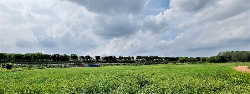 낙하마당 풀밭 너머로 달리는 자전거길, 벚나무 가로수길,
회색하늘, 회색구름,