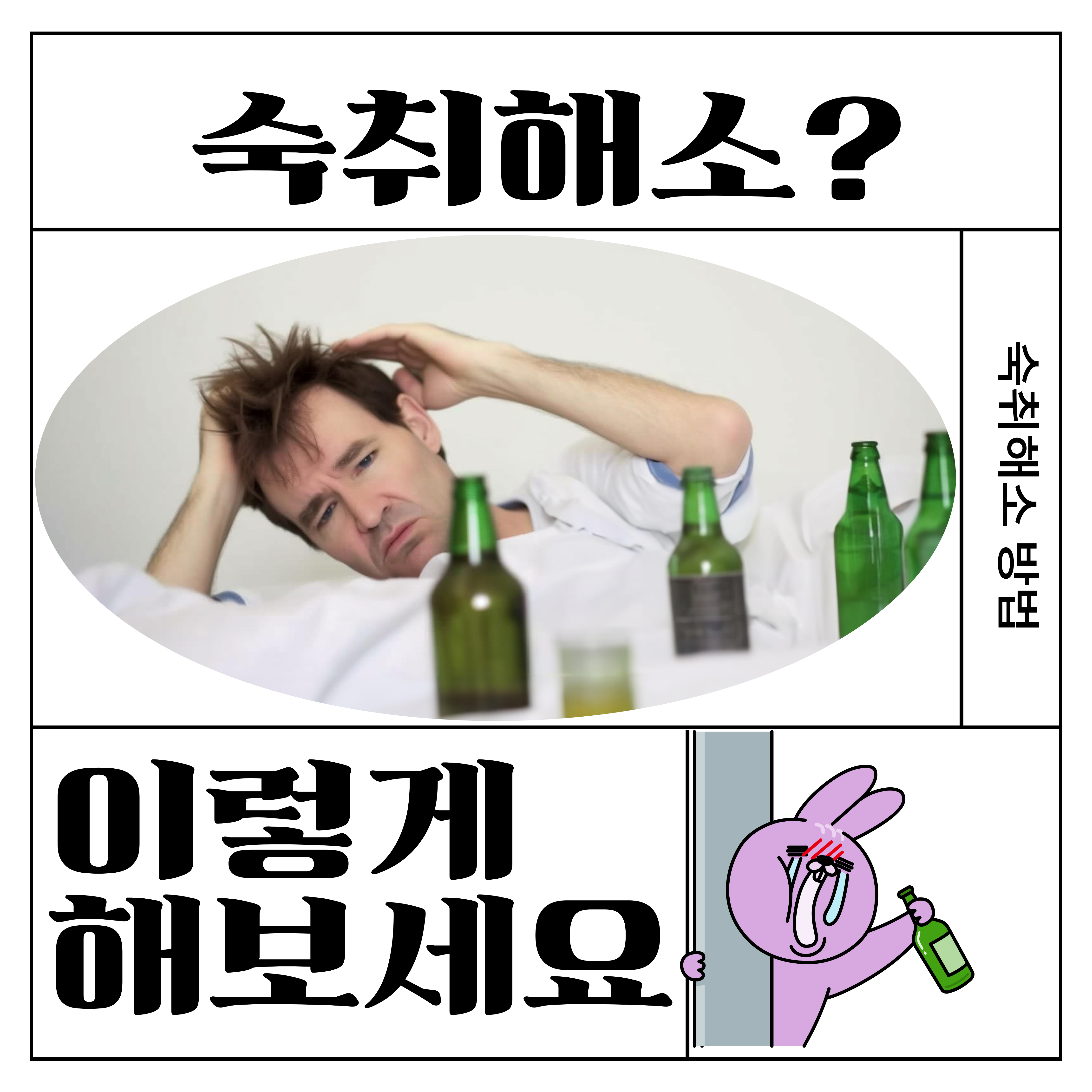 숙취해소제 추천