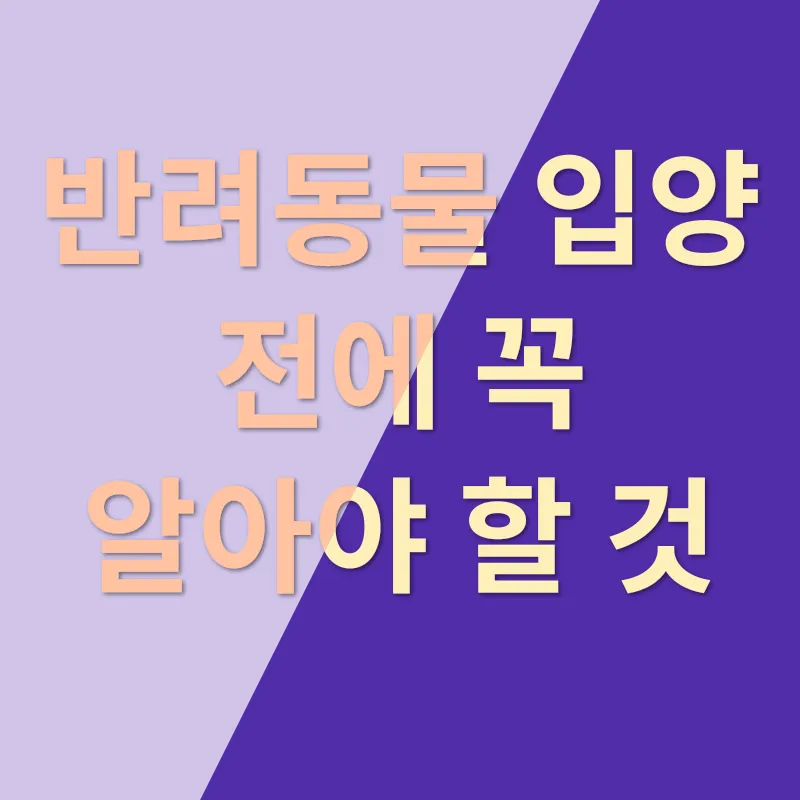 반려동물 입양_1