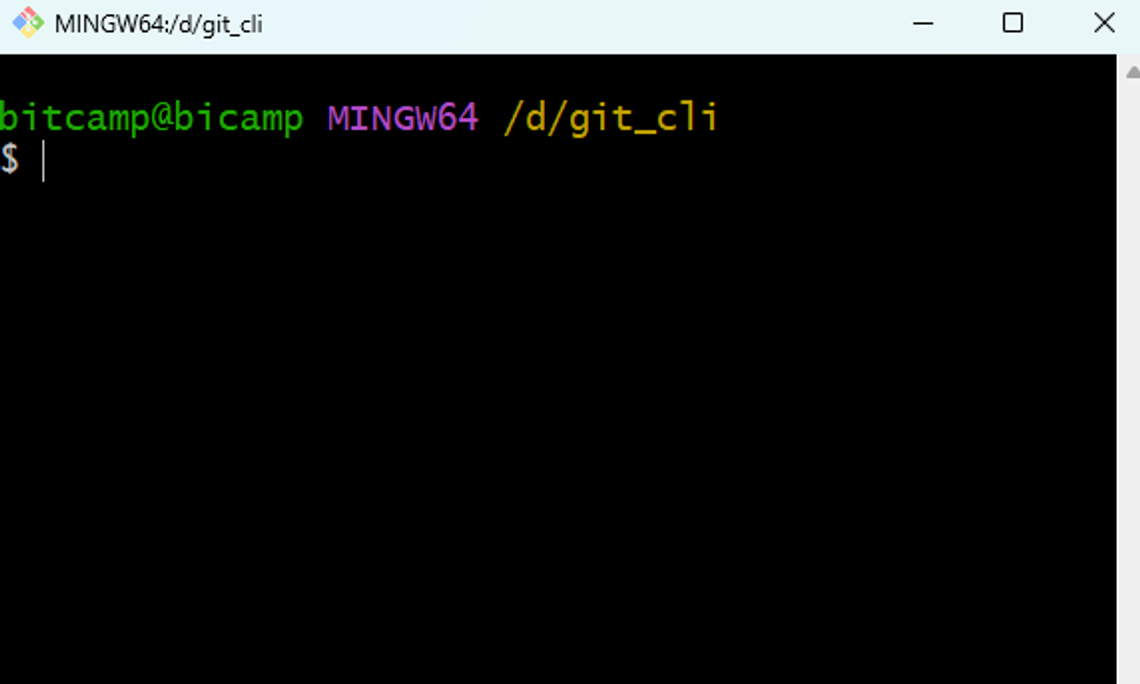 CLI 활용