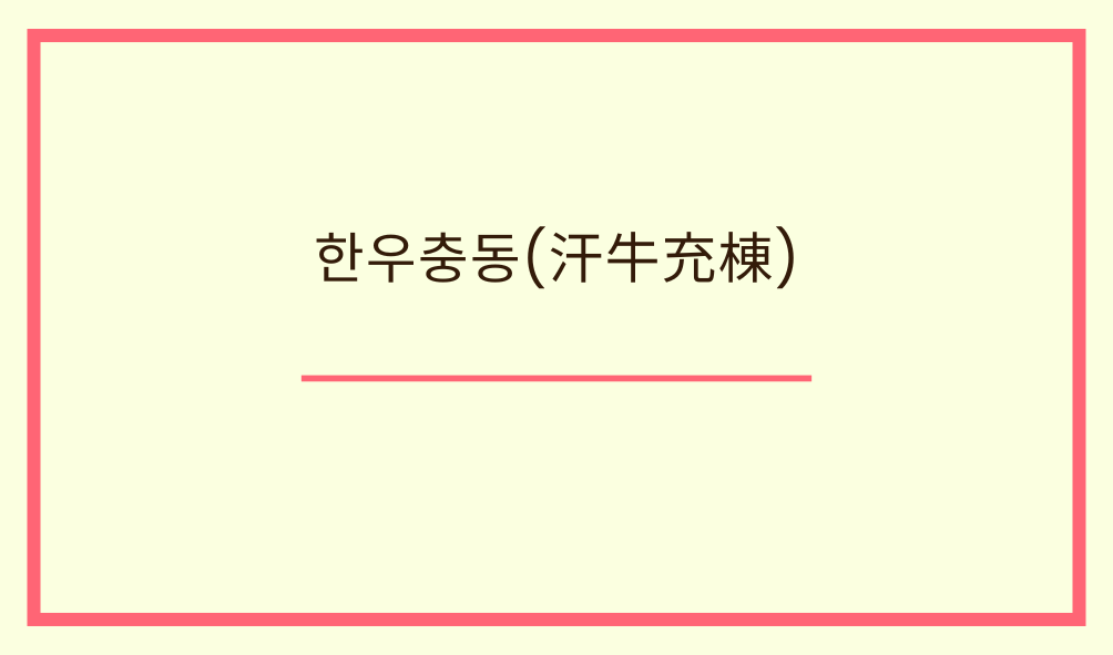 '한우충동(汗牛充棟)'