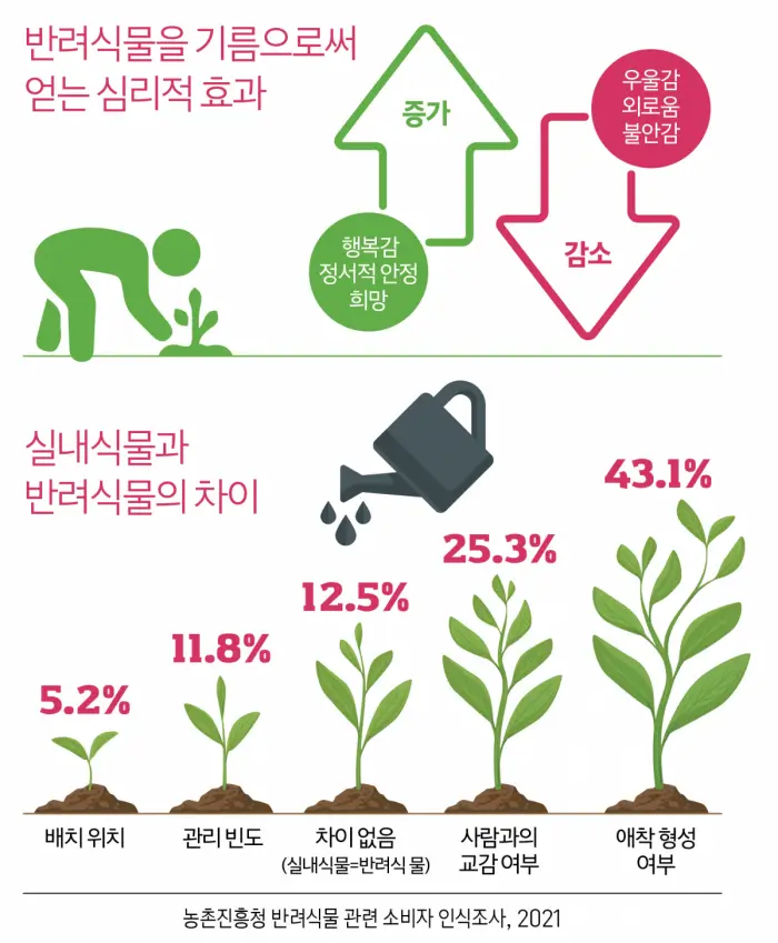 50대 여성을 위한 원예 초보 가이드