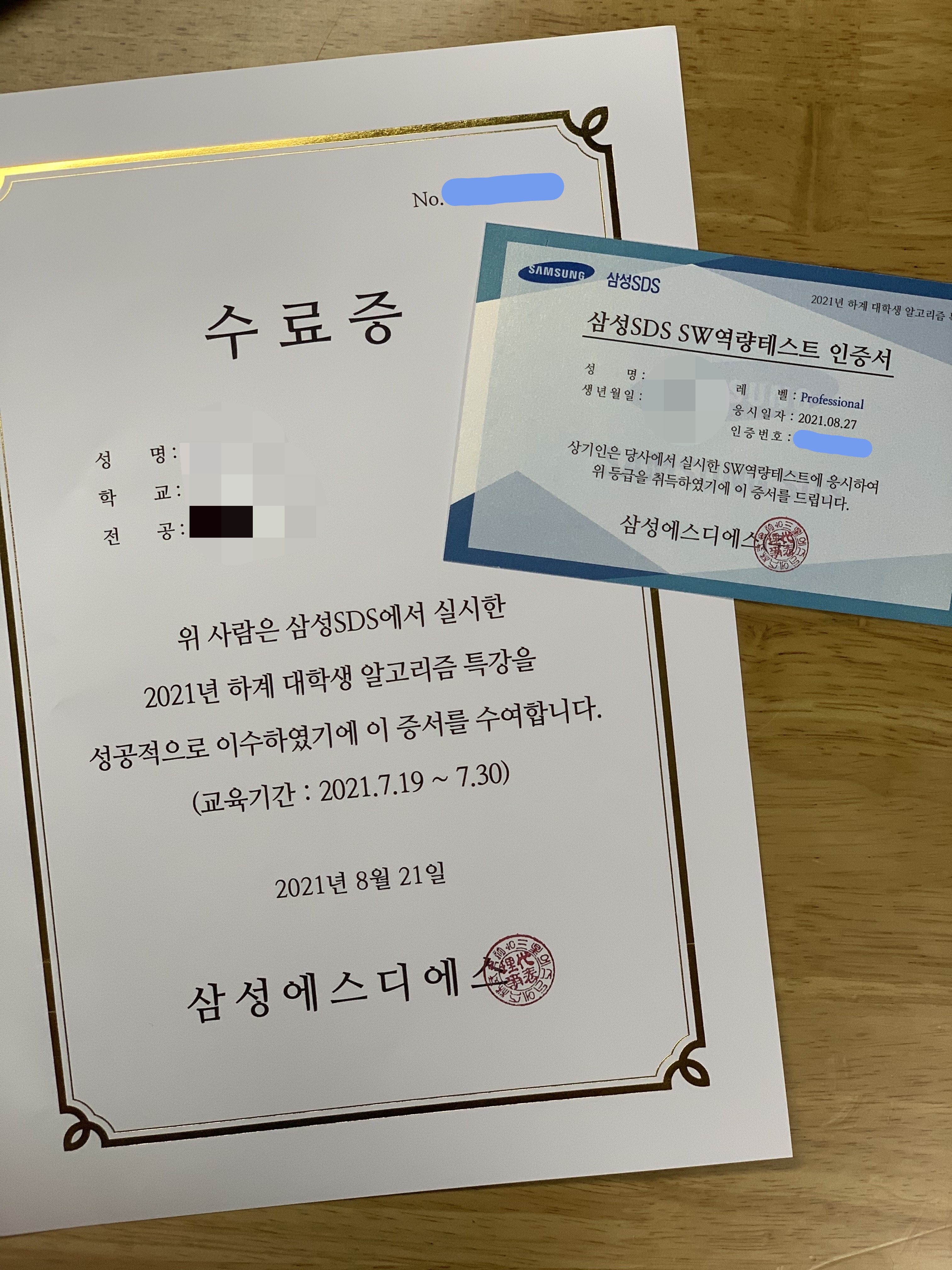  삼성 SDS SW검정시험 Professional 합격 후기