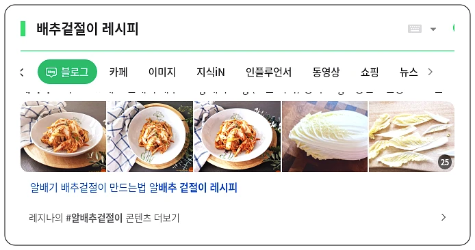 배추겉절이 레시피_1_subsection