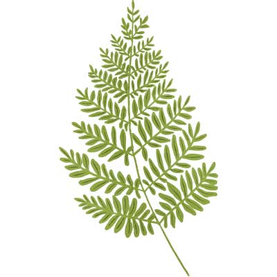  마음챙김 명상 mindfulness meditation